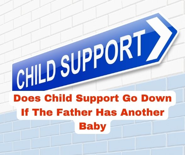 Does Child Support Go Down If The Father Has Another Baby
